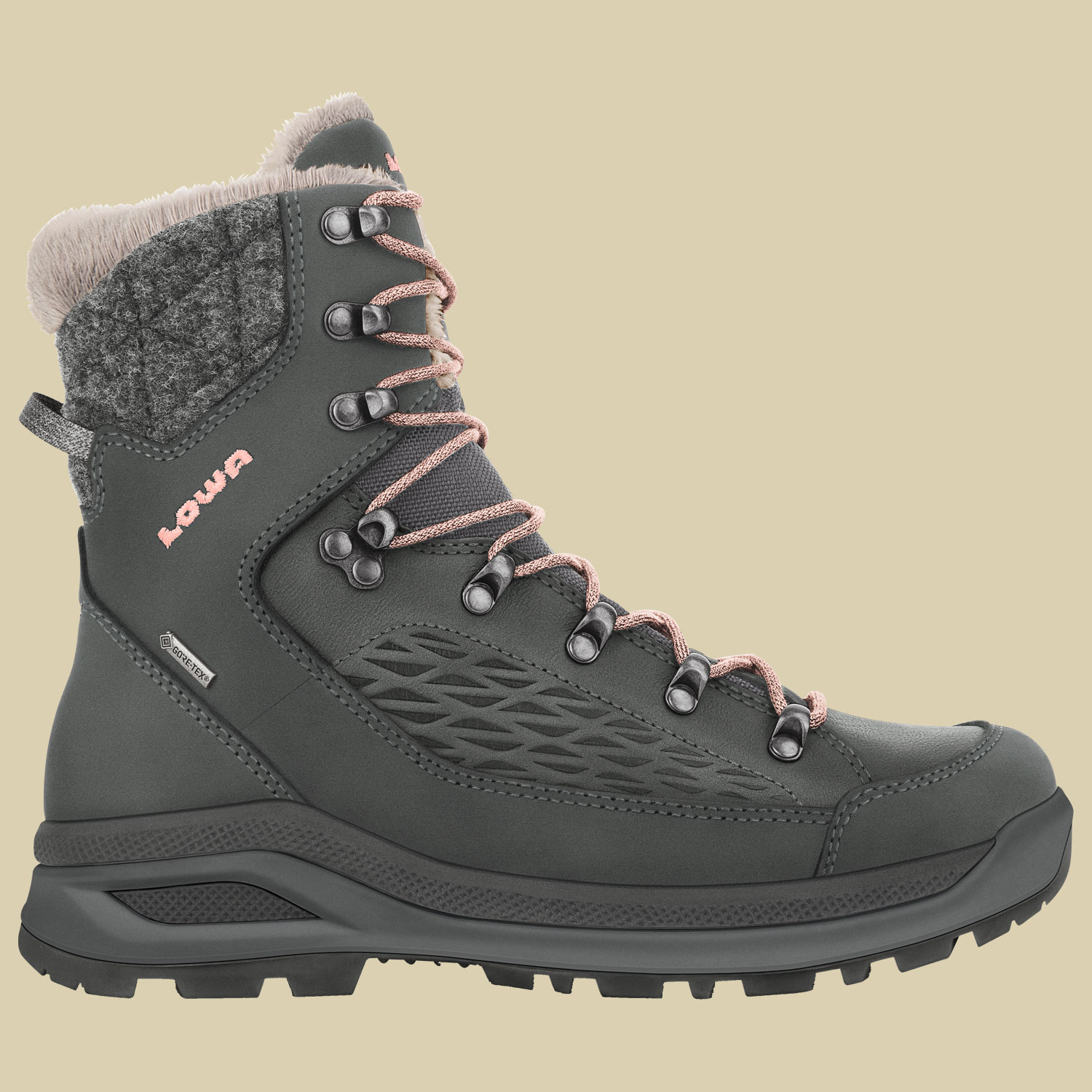 Renegade Evo Ice GTX Women