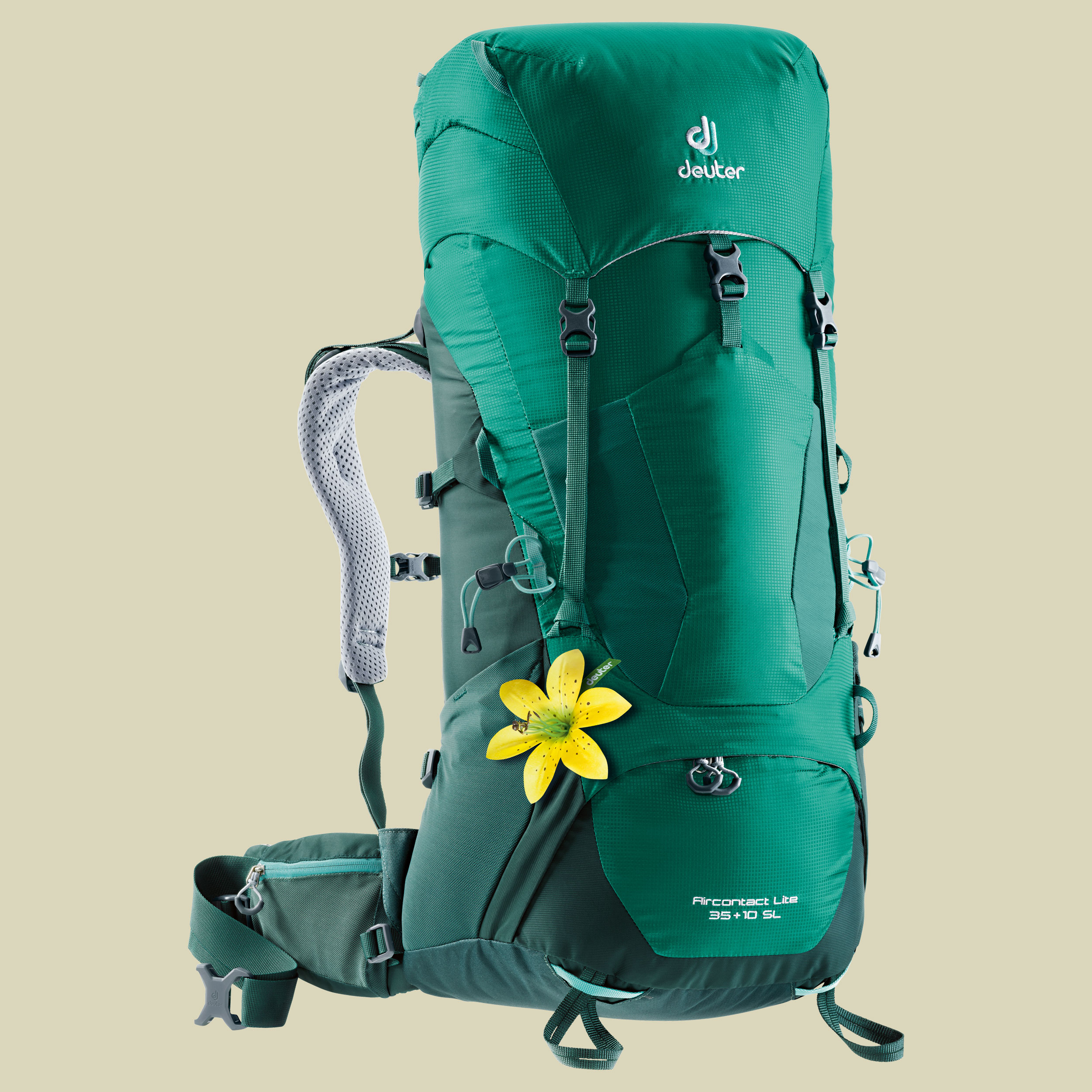 Aircontact Lite 35 + 10 SL Women Volumen 35 L + 10 L Farbe alpinegreen-forest