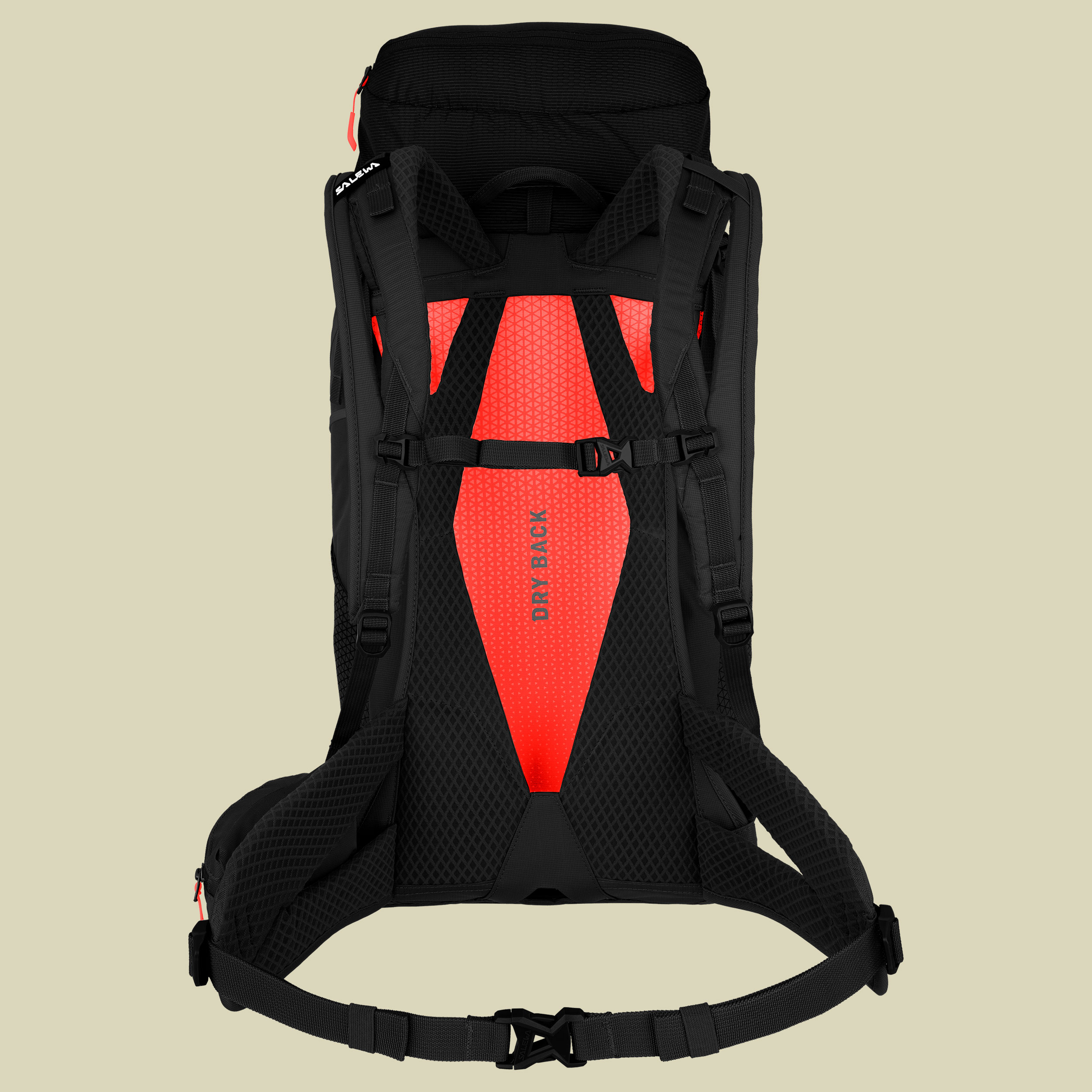 Alp Trainer 35+3 Volumen 35 Farbe black out