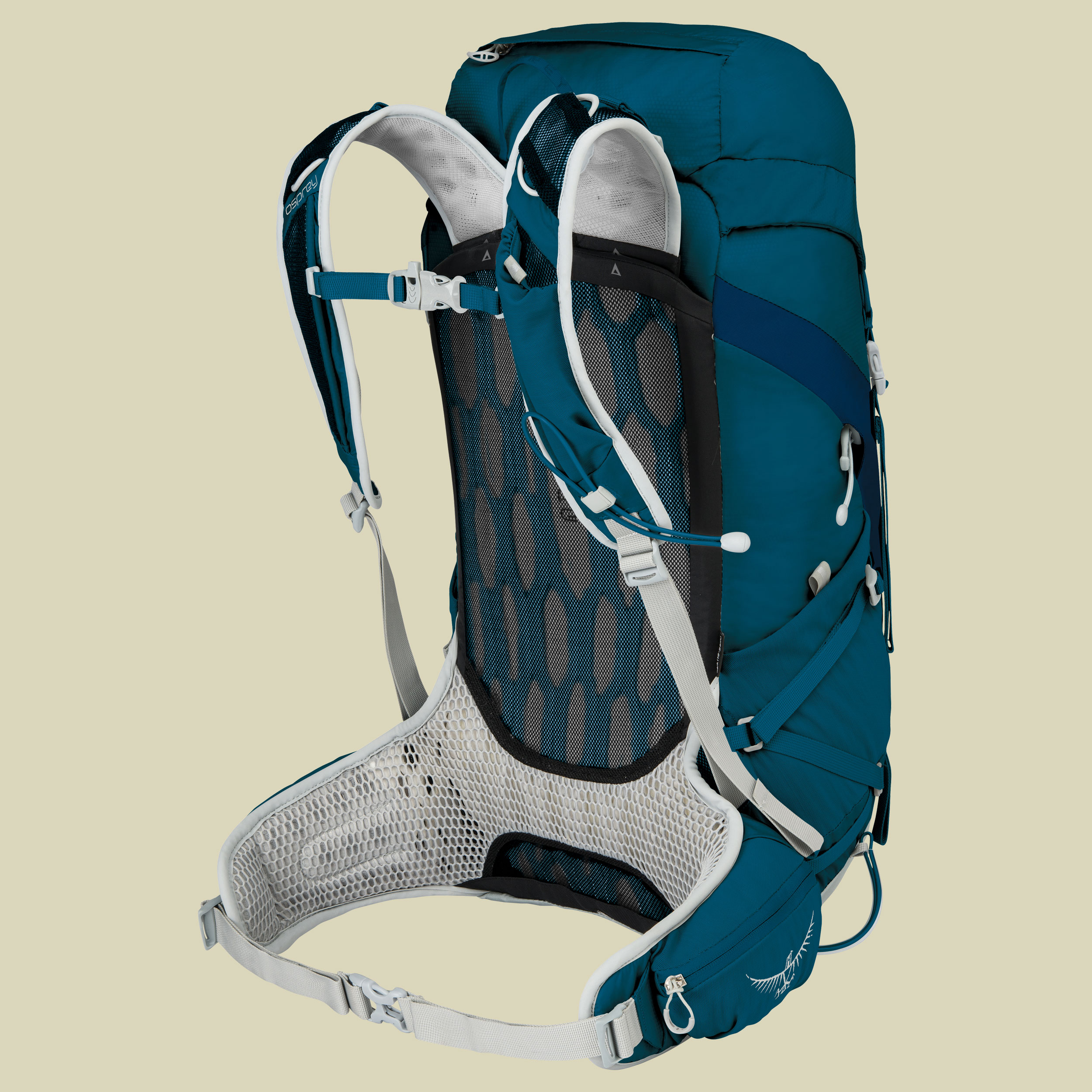 Talon 33 Men Volumen 31 (S/M) Farbe ultramarine blue