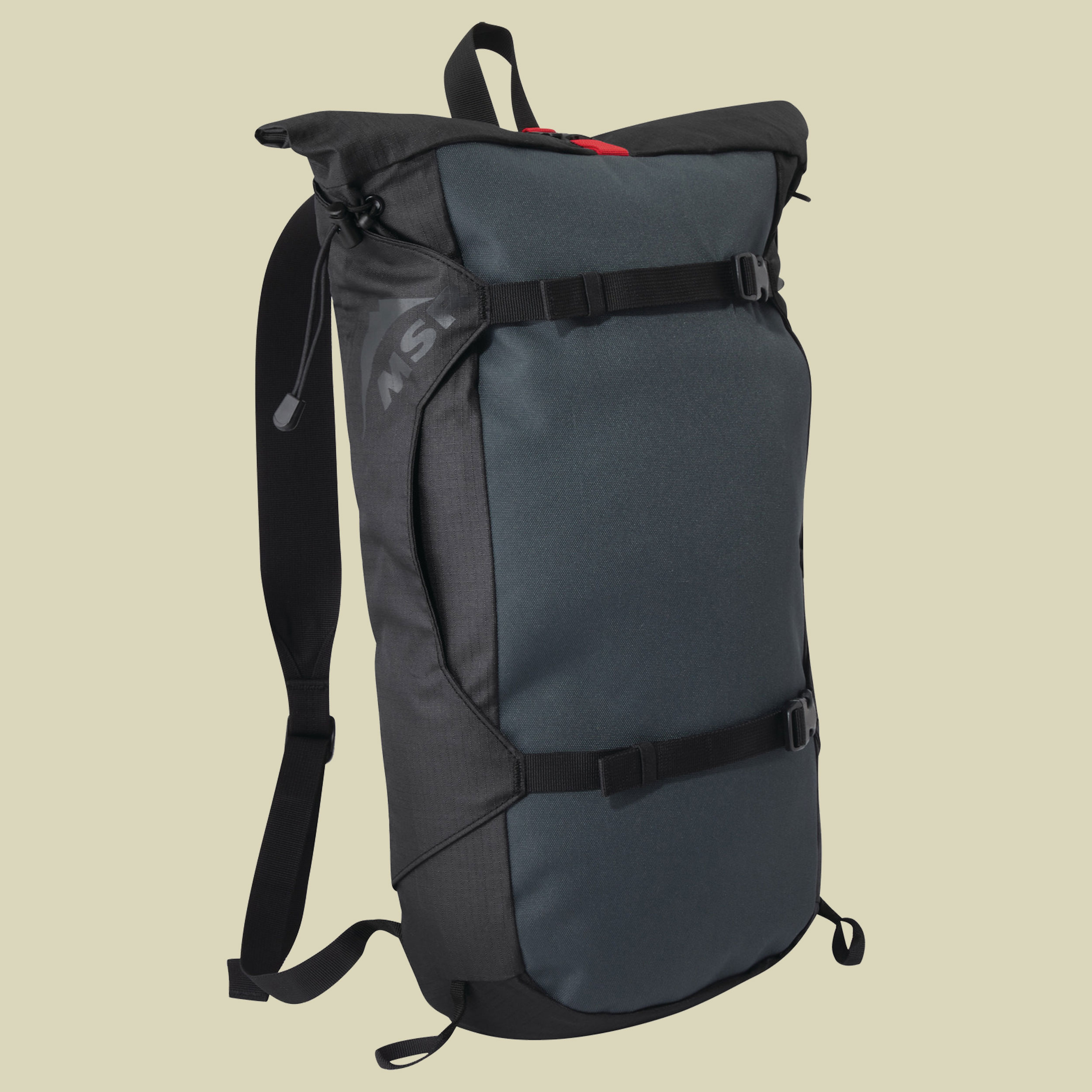 MSR Snowshoe Carry Pack Farbe: black