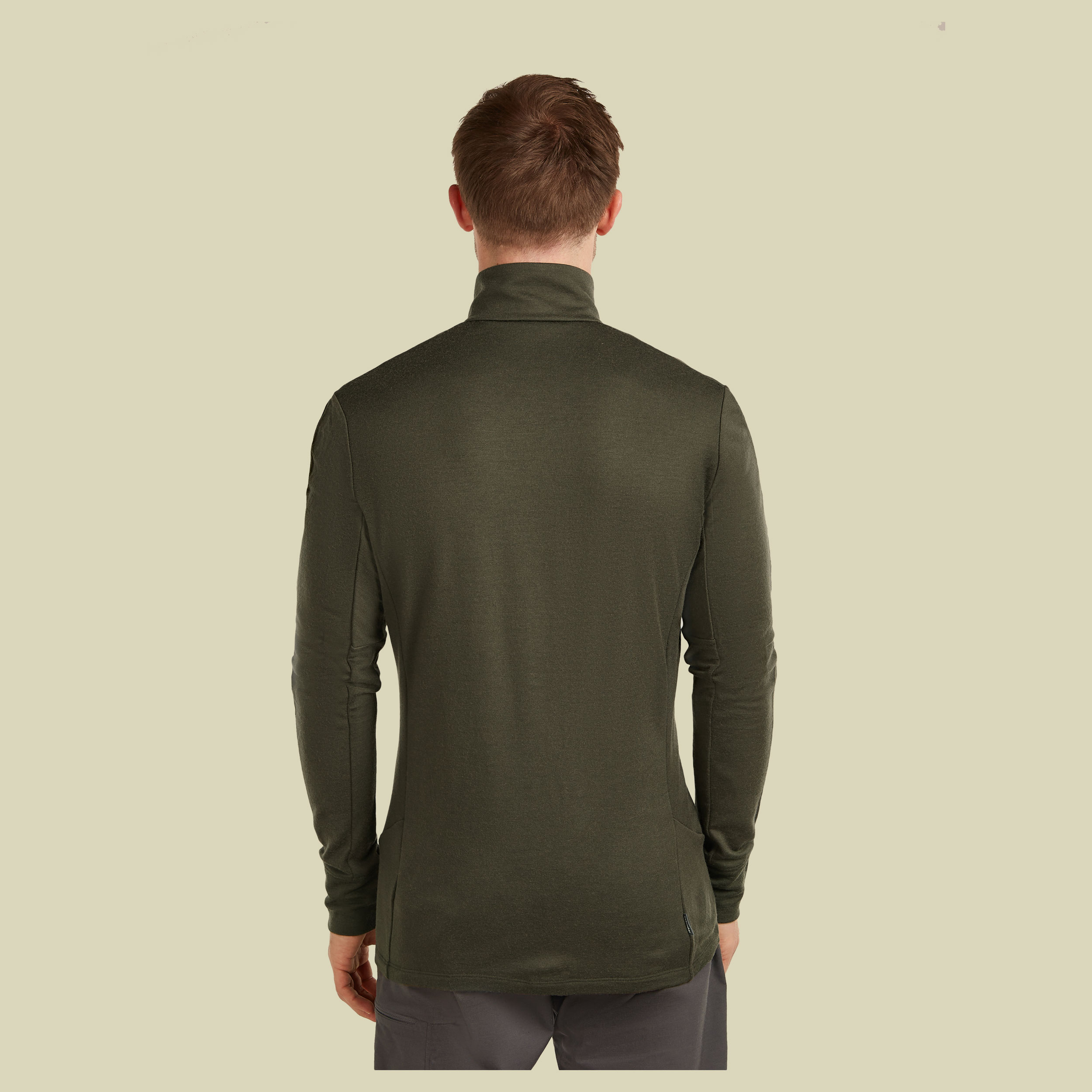 Merino 260 Quantum IV LS Zip Men