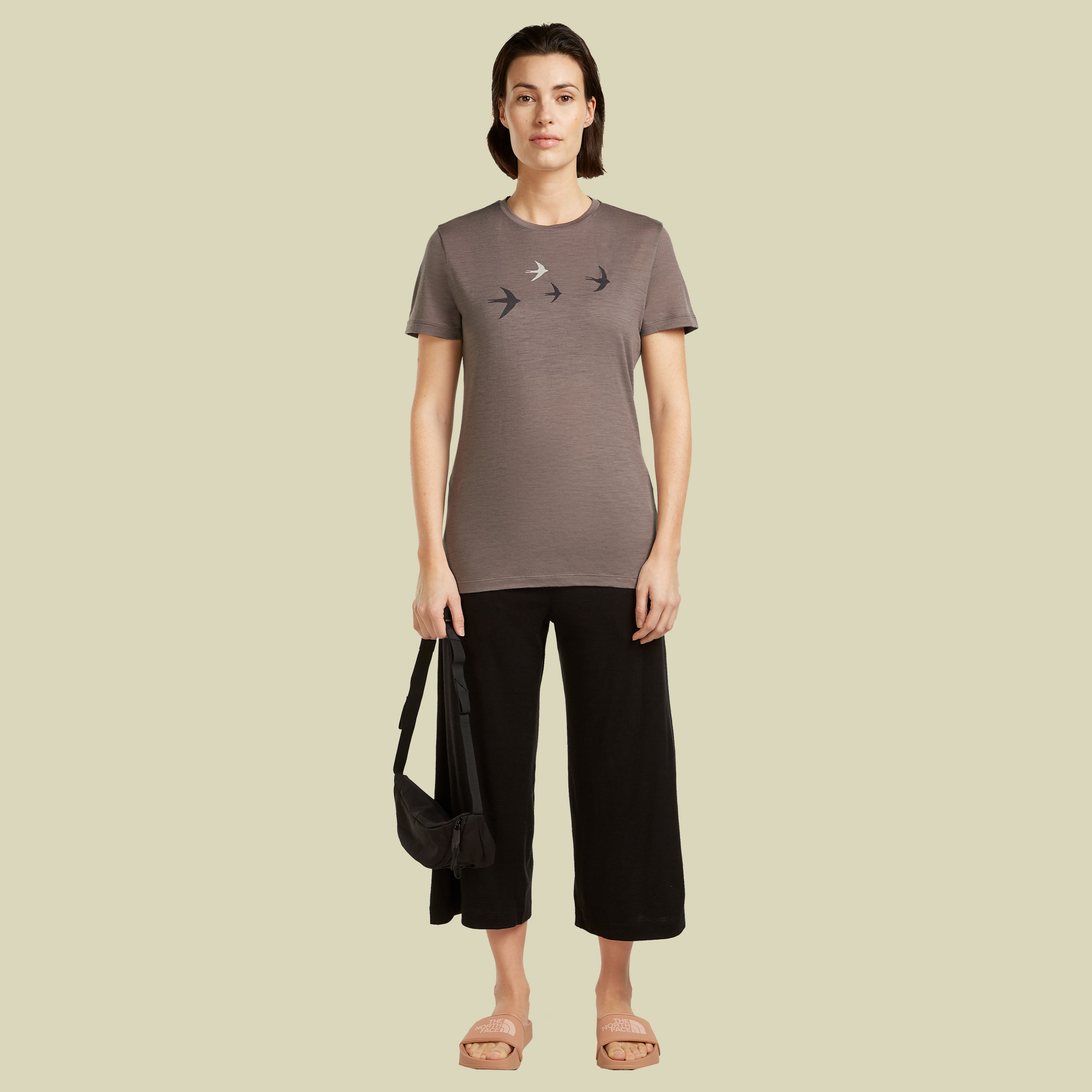 Merino 150 Tech Lite SS Tee Bird Transit Women