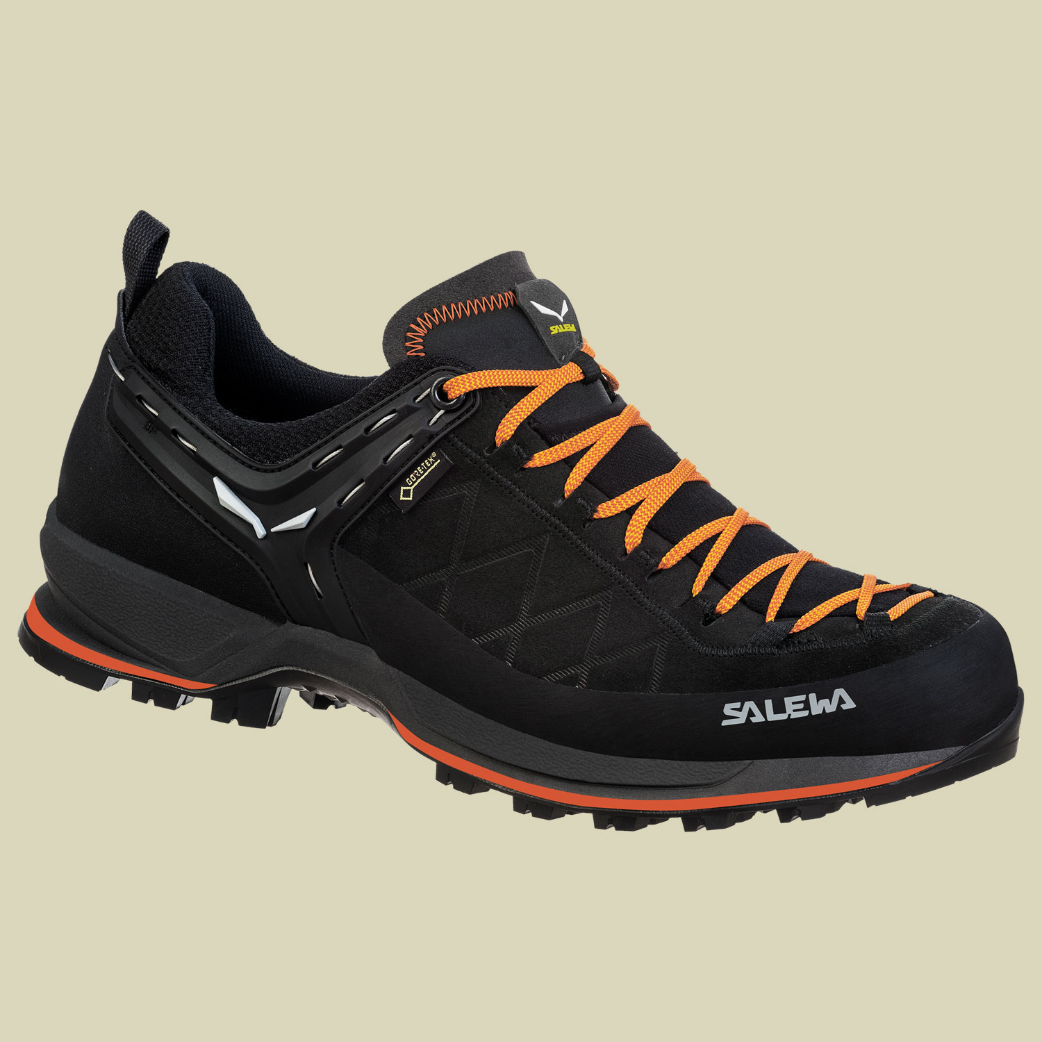 MS MTN Trainer 2 GTX Men