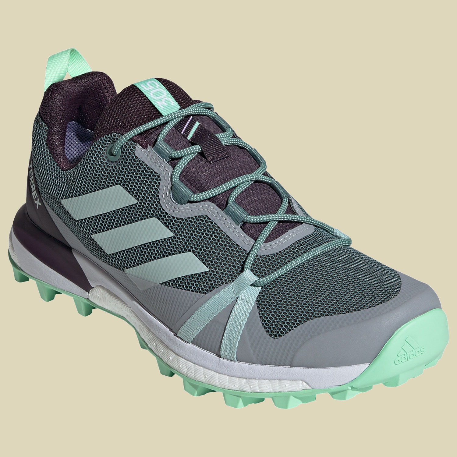 Terrex Skychaser LT GTX Women