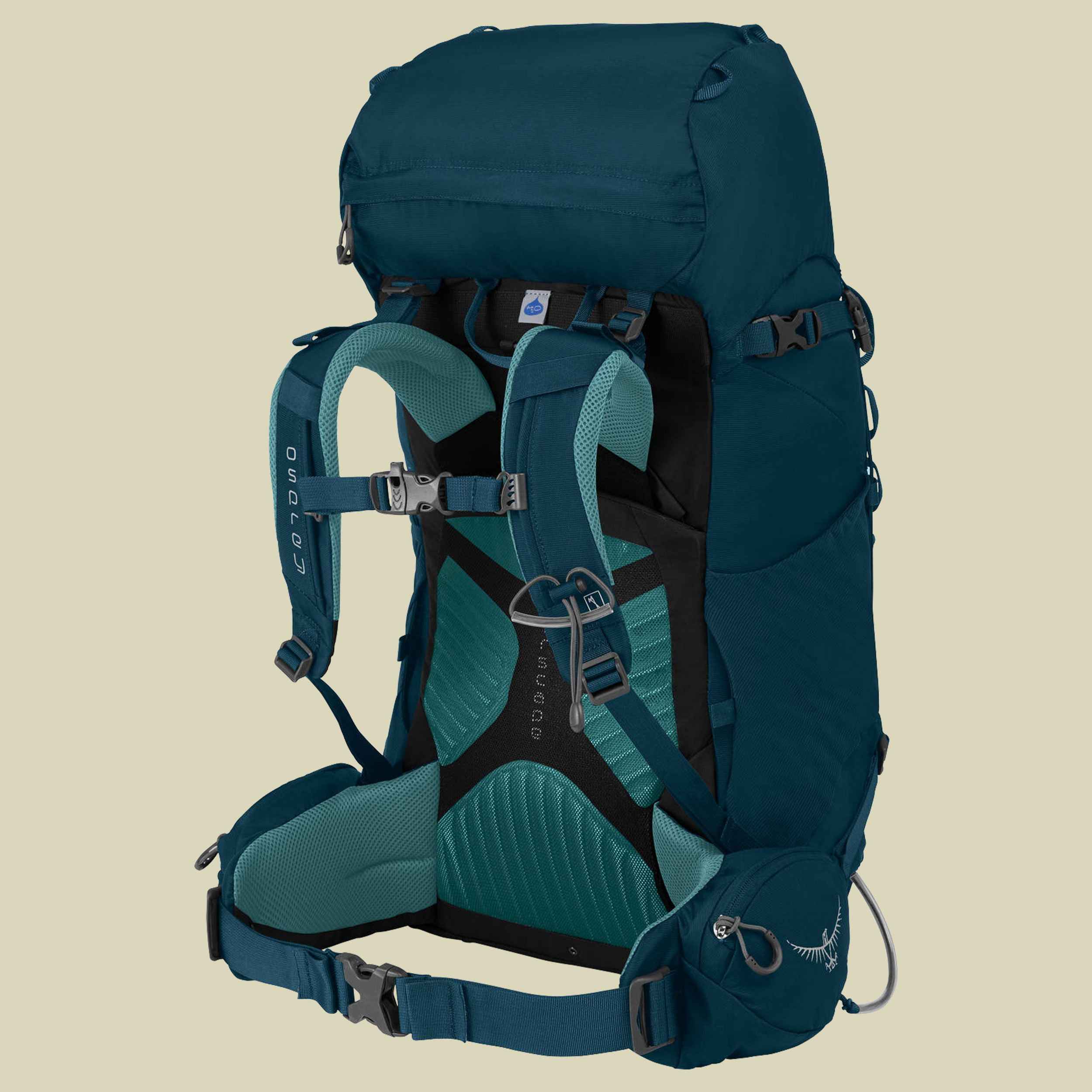 Kyte 36 Women Volumen 36 Farbe icelake green