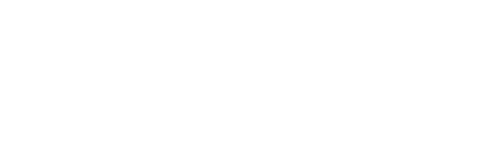 Wrightsock Logo