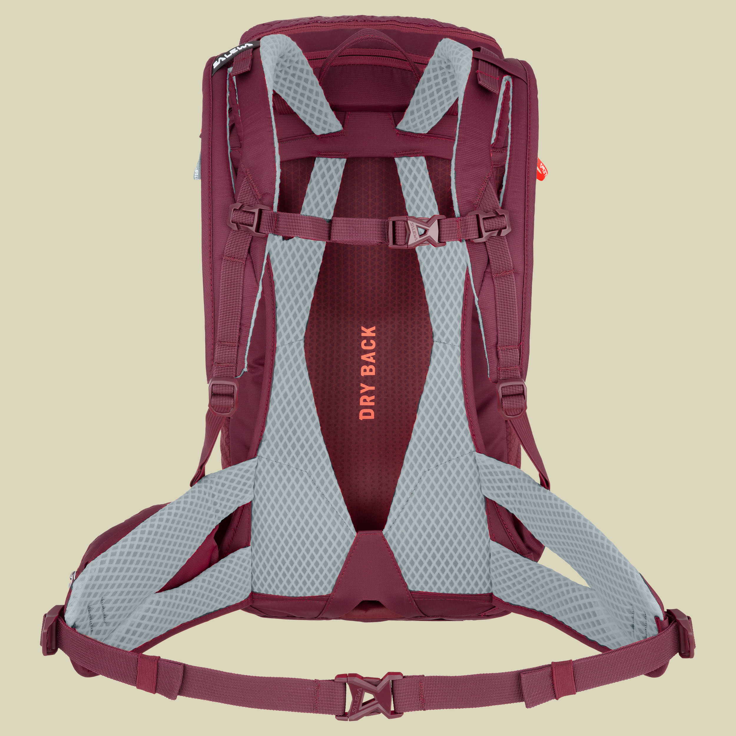 Alp Trainer 20 Women Volumen 20 Farbe tawny port